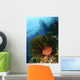 Variable Bushy Feather Star Wall Decal