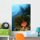 Variable Bushy Feather Star Wall Decal