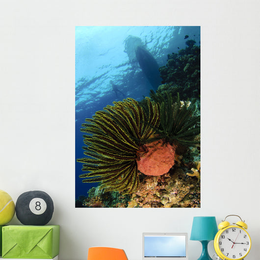 Variable Bushy Feather Star Wall Decal