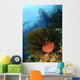 Variable Bushy Feather Star Wall Decal
