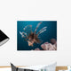 Close-up Lionfish Gorontalo Indonesia Wall Decal Design 4
