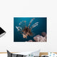Close-up Lionfish Gorontalo Indonesia Wall Decal Design 4