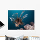 Close-up Lionfish Gorontalo Indonesia Wall Decal Design 4