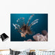 Close-up Lionfish Gorontalo Indonesia Wall Decal Design 4