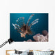 Close-up Lionfish Gorontalo Indonesia Wall Decal Design 4