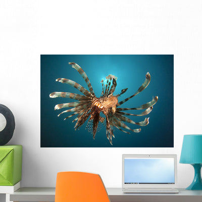 Close-up Lionfish Gorontalo Indonesia Wall Decal Design 2 shown on a wall
