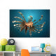 Close-up Lionfish Gorontalo Indonesia Wall Decal Design 2