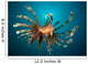 Close-up Lionfish Gorontalo Indonesia Wall Decal Design 2