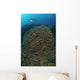Diver Exploring Cabbage Coral Wall Decal Design 1