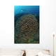Diver Exploring Cabbage Coral Wall Decal Design 1