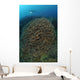 Diver Exploring Cabbage Coral Wall Decal Design 1