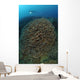 Diver Exploring Cabbage Coral Wall Decal Design 1