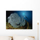 Very Rare Blue Sea Wall Decal Design 2