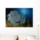 Very Rare Blue Sea Wall Decal Design 2