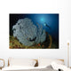 Very Rare Blue Sea Wall Decal Design 2
