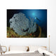 Very Rare Blue Sea Wall Decal Design 2