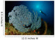 Very Rare Blue Sea Wall Decal Design 2