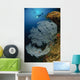Very Rare Blue Sea Wall Decal Design 1