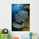 Very Rare Blue Sea Wall Decal Design 1