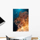Close-up Soft Tree Coral Wall Decal Design 2