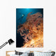 Close-up Soft Tree Coral Wall Decal Design 2