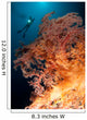Close-up Soft Tree Coral Wall Decal Design 2
