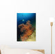 Close-up Soft Tree Coral Wall Decal Design 1