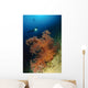 Close-up Soft Tree Coral Wall Decal Design 1