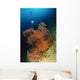 Close-up Soft Tree Coral Wall Decal Design 1
