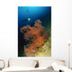 Close-up Soft Tree Coral Wall Decal Design 1
