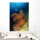 Close-up Soft Tree Coral Wall Decal Design 1