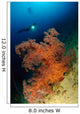 Close-up Soft Tree Coral Wall Decal Design 1