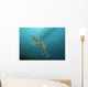Ornate Ghost Pipefish Gorontalo Wall Decal