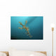 Ornate Ghost Pipefish Gorontalo Wall Decal