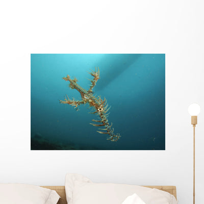 Ornate Ghost Pipefish Gorontalo Wall Decal shown on a wall