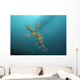 Ornate Ghost Pipefish Gorontalo Wall Decal