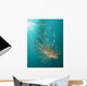 Close-up Lionfish Gorontalo Indonesia Wall Decal Design 1