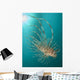 Close-up Lionfish Gorontalo Indonesia Wall Decal Design 1