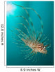 Close-up Lionfish Gorontalo Indonesia Wall Decal Design 1