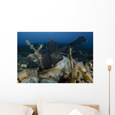 Ornate Ghost Pipefish amongst Wall Decal Design 4 shown on a wall