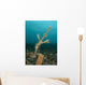 Ornate Ghost Pipefish amongst Wall Decal Design 3