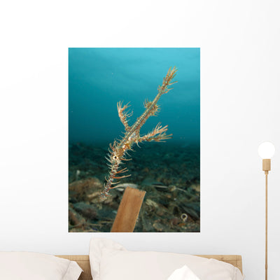 Ornate Ghost Pipefish amongst Wall Decal Design 3 shown on a wall