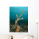 Ornate Ghost Pipefish amongst Wall Decal Design 3