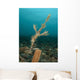 Ornate Ghost Pipefish amongst Wall Decal Design 3