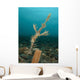 Ornate Ghost Pipefish amongst Wall Decal Design 3