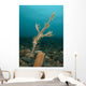 Ornate Ghost Pipefish amongst Wall Decal Design 3