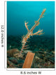 Ornate Ghost Pipefish amongst Wall Decal Design 3