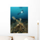 Ornate Ghost Pipefish amongst Wall Decal Design 2
