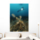 Ornate Ghost Pipefish amongst Wall Decal Design 2