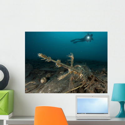 Ornate Ghost Pipefish amongst Wall Decal Design 1 shown on a wall